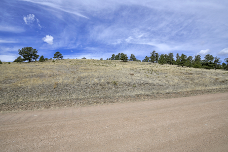 4 Acres of Scenic Colorado Land for Sale - image 4