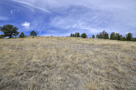 4 Acres of Scenic Colorado Land for Sale - image 5