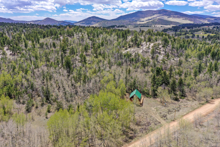 Charming A-Frame Mountain Cabin for Sale in Colorado - image 34