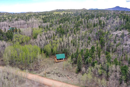 Charming A-Frame Mountain Cabin for Sale in Colorado - image 2