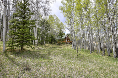 Charming A-Frame Mountain Cabin for Sale in Colorado - image 24