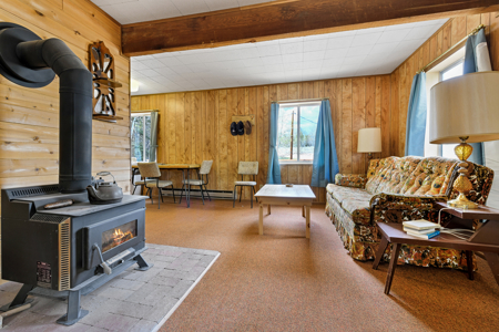 Charming A-Frame Mountain Cabin for Sale in Colorado - image 4