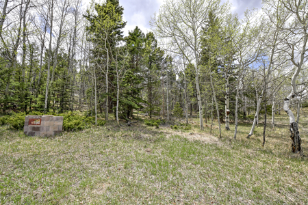 Charming A-Frame Mountain Cabin for Sale in Colorado - image 29