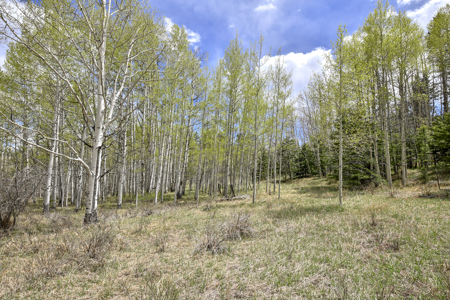 Charming A-Frame Mountain Cabin for Sale in Colorado - image 25