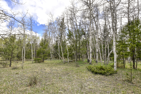 Charming A-Frame Mountain Cabin for Sale in Colorado - image 26
