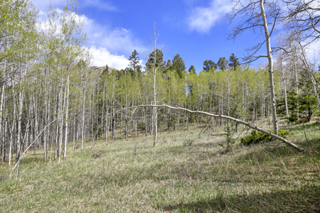 Charming A-Frame Mountain Cabin for Sale in Colorado - image 30