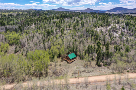 Charming A-Frame Mountain Cabin for Sale in Colorado - image 36