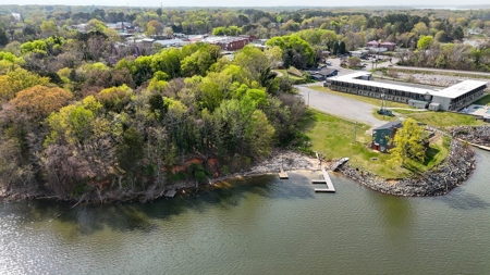 Lake Access Meets Business District: Clarksville, VA - image 13