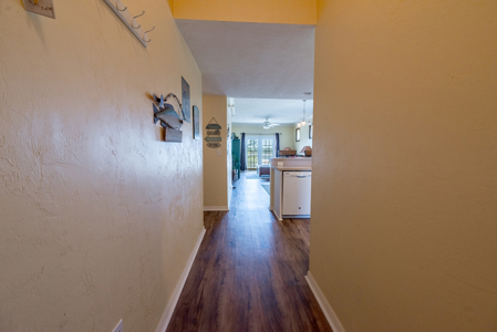 Condo For Sale in Suwannee, FL - image 5