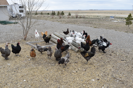 Montana Country Property, Acreage, potential business, Updates - image 34