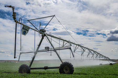 East Malta Irrigated Farm & Ranch – The Hould Property - image 19