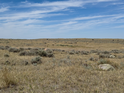East Malta Irrigated Farm & Ranch – The Hould Property - image 35