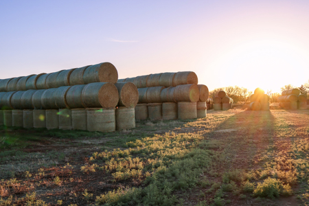 East Malta Irrigated Farm & Ranch – The Hould Property - image 22