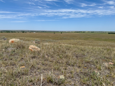 East Malta Irrigated Farm & Ranch – The Hould Property - image 48