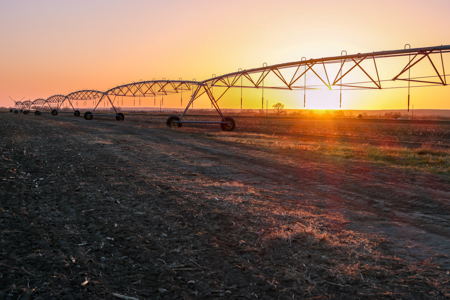 East Malta Irrigated Farm & Ranch – The Hould Property - image 10
