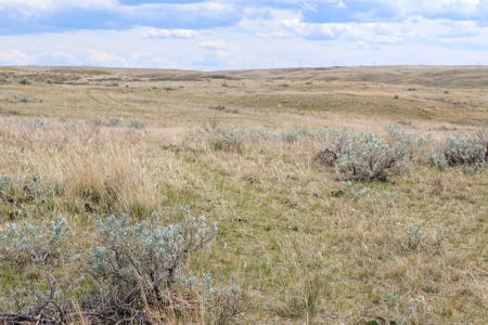 East Malta Irrigated Farm & Ranch – The Hould Property - image 18
