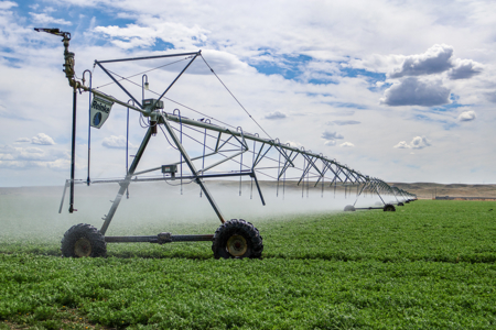 East Malta Irrigated Farm & Ranch – The Hould Property - image 3