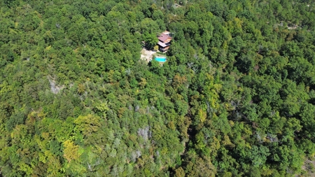 Land With Multiple Cabins For Sale In North Central Arkansas - image 6