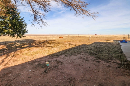 PERFECT Country Property! 4 bedroom Home w/ACREAGE and a BARN - image 30