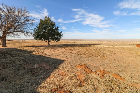 PERFECT Country Property! 4 bedroom Home w/ACREAGE and a BARN - image 32