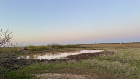 320 Acres for sale in Quanah TX - image 16