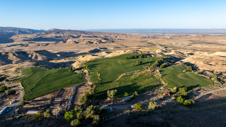 Shamrock Ranch - Colorado Mountain Ranch - For Sale - image 22
