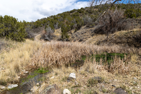 Shamrock Ranch - Colorado Mountain Ranch - For Sale - image 19