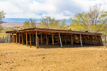 Shamrock Ranch - Colorado Mountain Ranch - For Sale - image 12