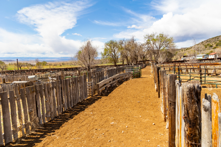 Shamrock Ranch - Colorado Mountain Ranch - For Sale - image 15