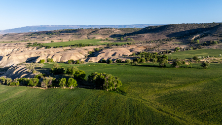 Shamrock Ranch - Colorado Mountain Ranch - For Sale - image 38