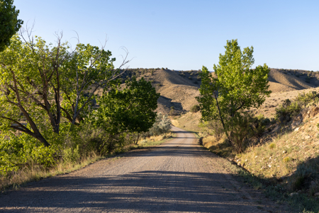 Shamrock Ranch - Colorado Mountain Ranch - For Sale - image 35
