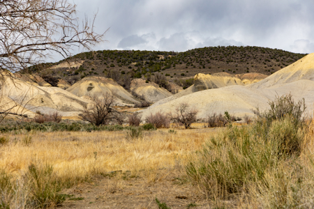 Shamrock Ranch - Colorado Mountain Ranch - For Sale - image 4