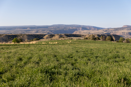 Shamrock Ranch - Colorado Mountain Ranch - For Sale - image 34