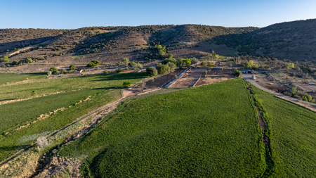 Shamrock Ranch - Colorado Mountain Ranch - For Sale - image 39