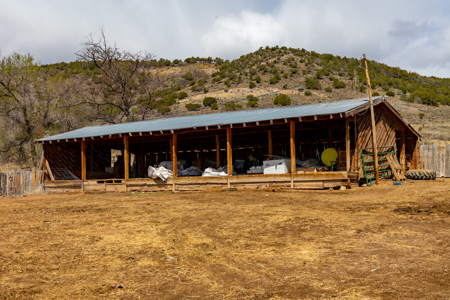 Shamrock Ranch - Colorado Mountain Ranch - For Sale - image 14