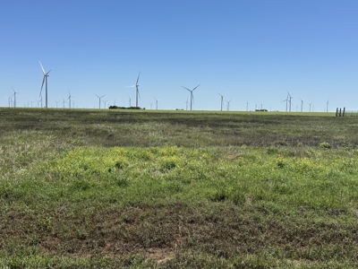 Your Dream Land Awaits Here, Prime Land for Future homes in Tynan - image 3