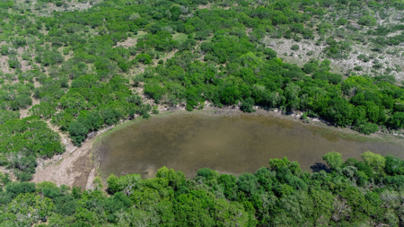 60 Acres of Prime South Texas Brushland with Wildlife, Water - image 14