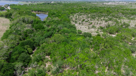 60 Acres of Prime South Texas Brushland with Wildlife, Water - image 19