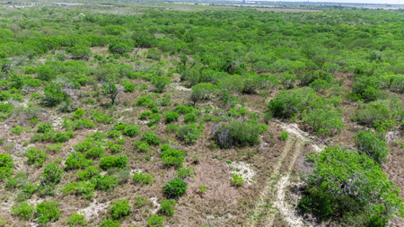 60 Acres of Prime South Texas Brushland with Wildlife, Water - image 23