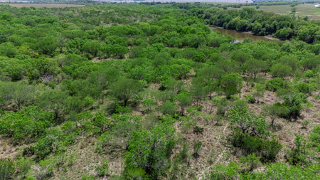 60 Acres of Prime South Texas Brushland with Wildlife, Water - image 17