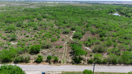 60 Acres of Prime South Texas Brushland with Wildlife, Water - image 15
