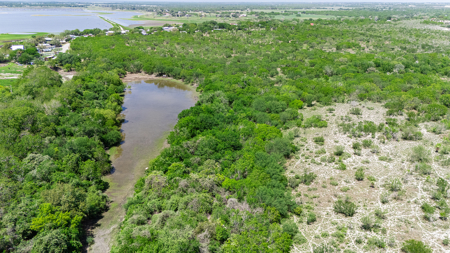 60 Acres of Prime South Texas Brushland with Wildlife, Water - image 18