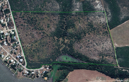 60 Acres of Prime South Texas Brushland with Wildlife, Water - image 25