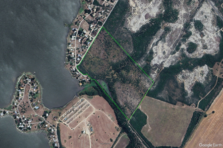 60 Acres of Prime South Texas Brushland with Wildlife, Water - image 26