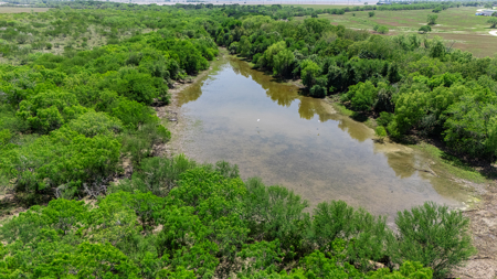 60 Acres of Prime South Texas Brushland with Wildlife, Water - image 13