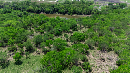 60 Acres of Prime South Texas Brushland with Wildlife, Water - image 21