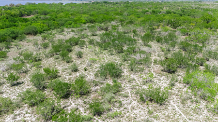 60 Acres of Prime South Texas Brushland with Wildlife, Water - image 22