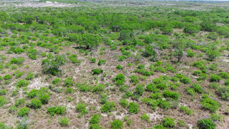 60 Acres of Prime South Texas Brushland with Wildlife, Water - image 20