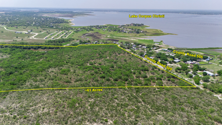 60 Acres of Prime South Texas Brushland with Wildlife, Water - image 9