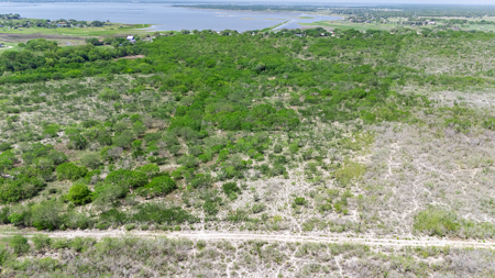 60 Acres of Prime South Texas Brushland with Wildlife, Water - image 12